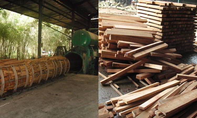 Quy trình sản xuất gỗ cao su