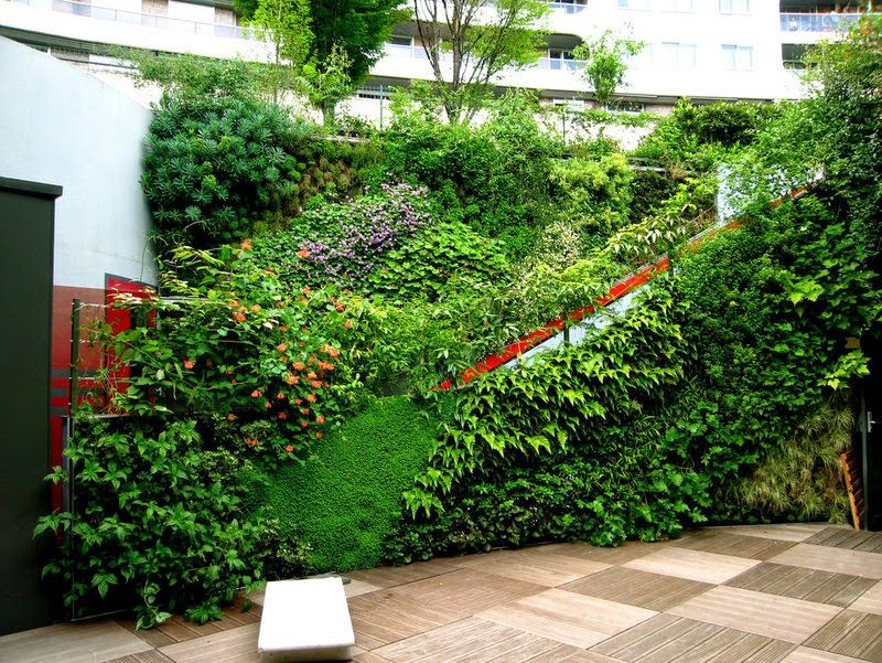 Vườn đứng cho không gian tươi xanh