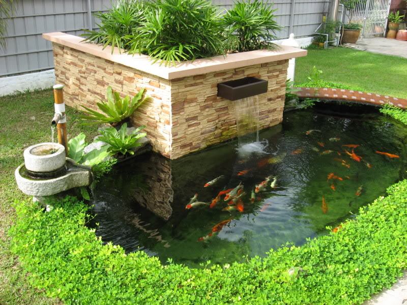 Bể cá cảnh cho sân vườn 