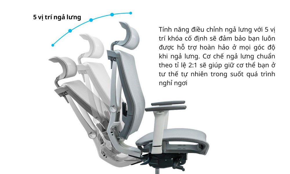 Ghế công thái học ngả lưng