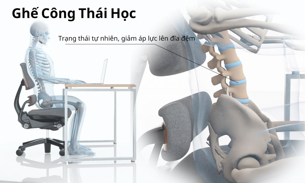 Ghế công thái học hỗ trợ vùng thắt lưng