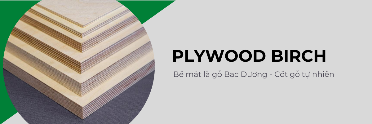 bộ sưu tập gộ plywood birch