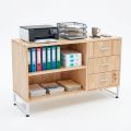 Tủ hồ sơ thấp 100x40x60cm gỗ cao su TCN68100