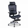Ghế lưới chuẩn công thái học SITWELL RPB010