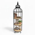 Kệ trưng bày lồng chim 3 tầng khung sắt trắng KTB68086