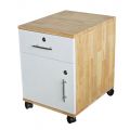 TCN68013 - Tủ cá nhân 2 ngăn cửa màu trắng -  40x50x50 (cm)