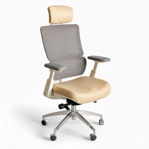 Ghế công thái học ASTON01 Ghế công thái học ASTON01