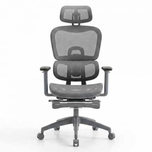 Ghế xoay lưng lưới công thái học - GAK913