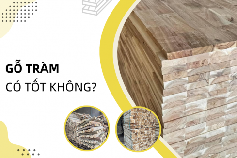 Ván Gỗ Keo Ghép Thanh Có Tốt Không?
