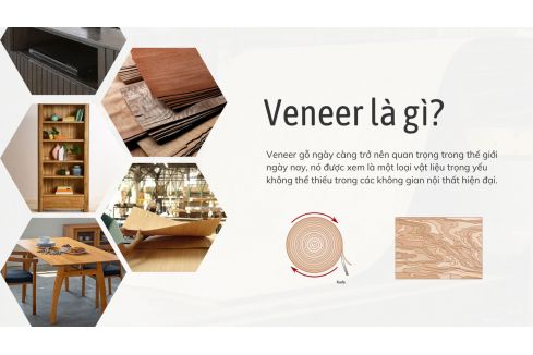 Veneer là gì? Những ưu nhược điểm mà bạn nên biết