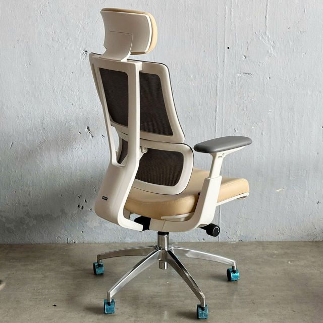 Ghế công thái học ASTON01