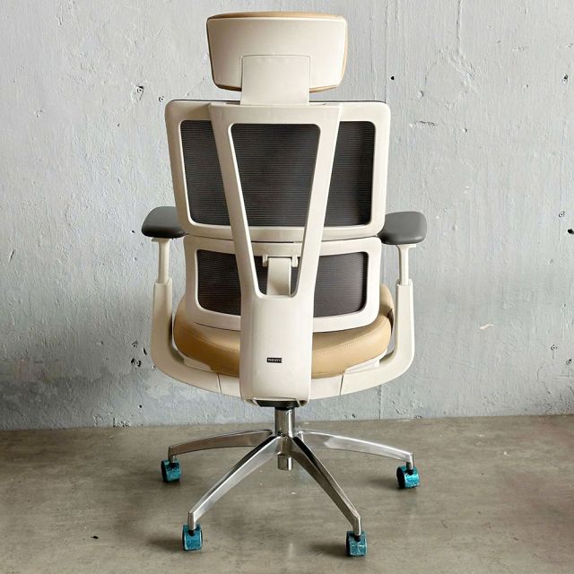 Ghế công thái học ASTON01