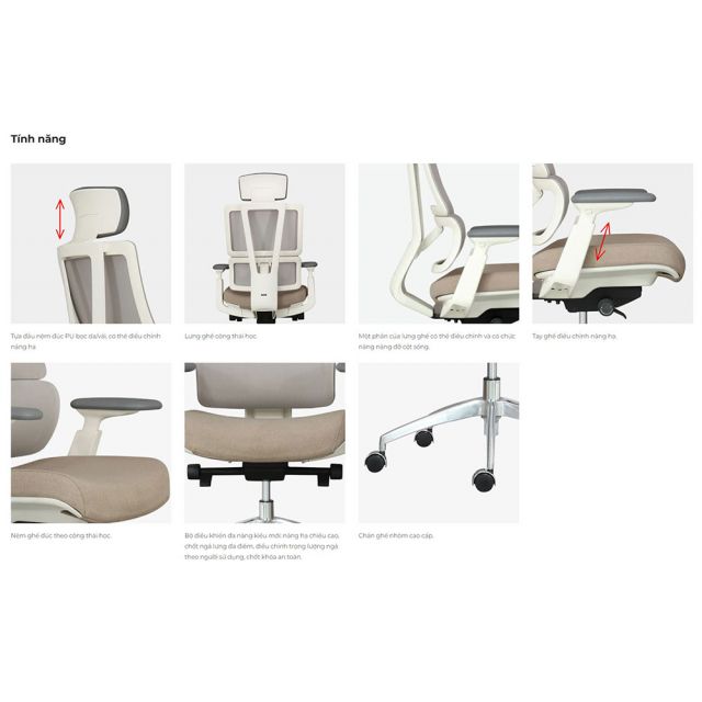 Ghế công thái học ASTON01