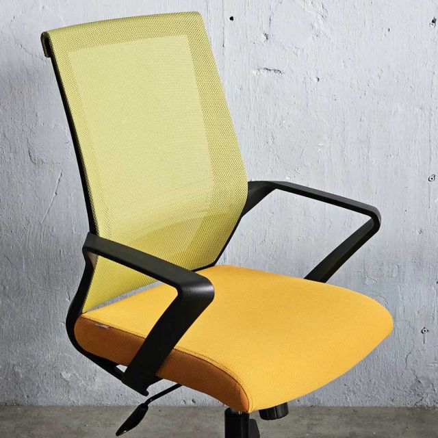 Ghế lưới văn phòng cao cấp Fly-D 02 chân xoay HOGVP083