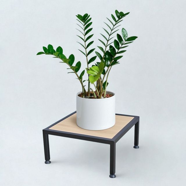 Đôn để cây xanh 35x35x19cm gỗ plywood DCX001