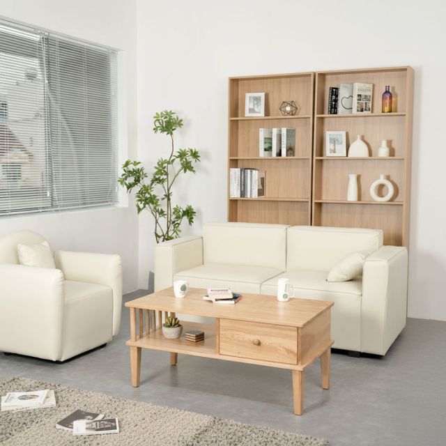 Bàn sofa chữ nhật có ngăn kéo 100x50cm gỗ tần bì TT68261