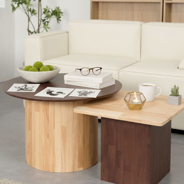 Bộ bàn sofa đôi phòng khách bằng gỗ cao su TK123