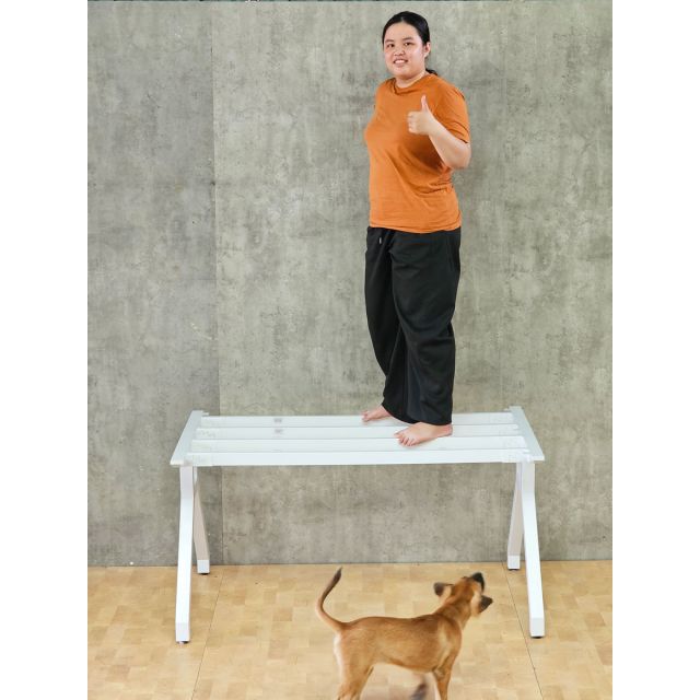 Chân bàn họp 180x90cm sơn tĩnh điện CSBH002