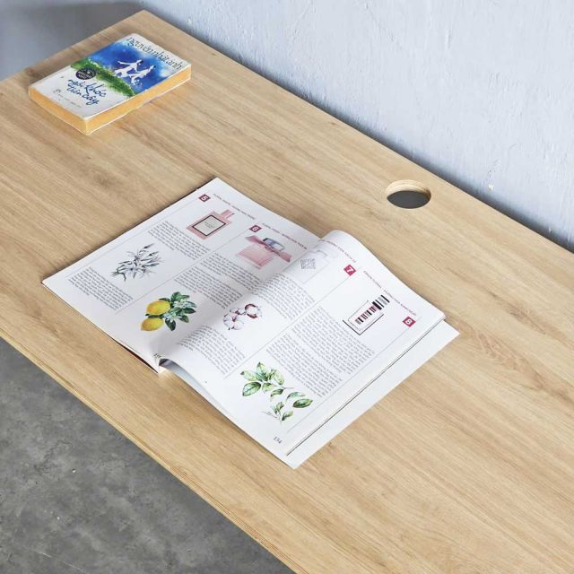 Bàn nhân viên 120x60cm gỗ Plywood hệ PLY chân lắp ráp HBPL002