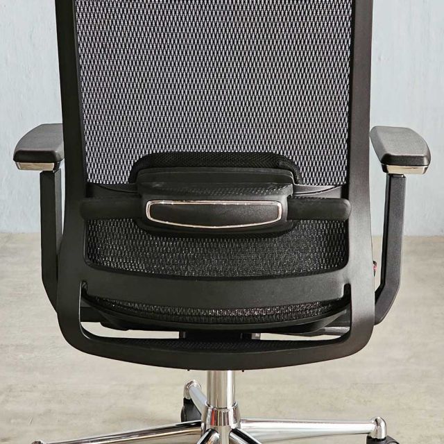 Ghế công thái học Ergonomic cao cấp đa chức năng GSP06