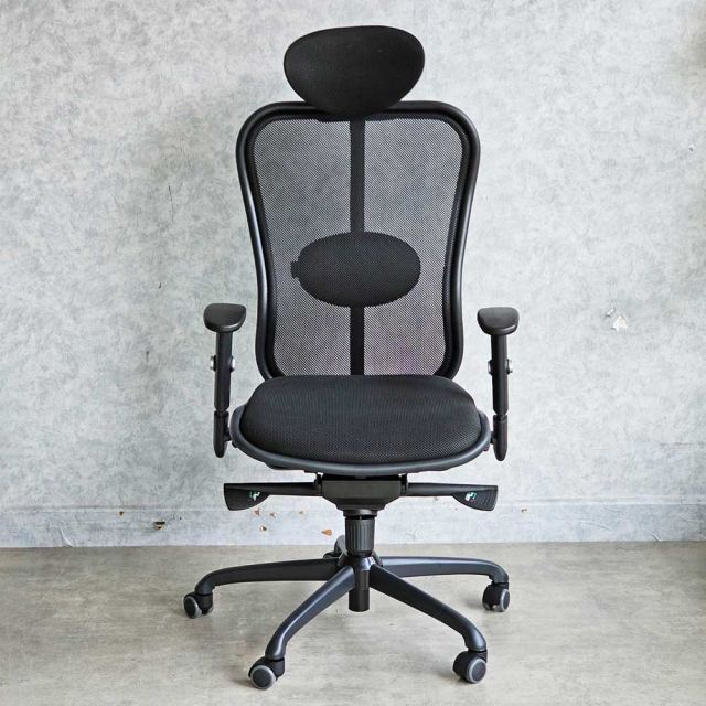 Ghế công thái học Ergonomic lưng và nệm lưới GSP85SJ-02