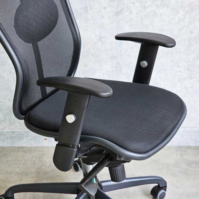 Ghế công thái học Ergonomic lưng và nệm lưới GSP85SJ-02