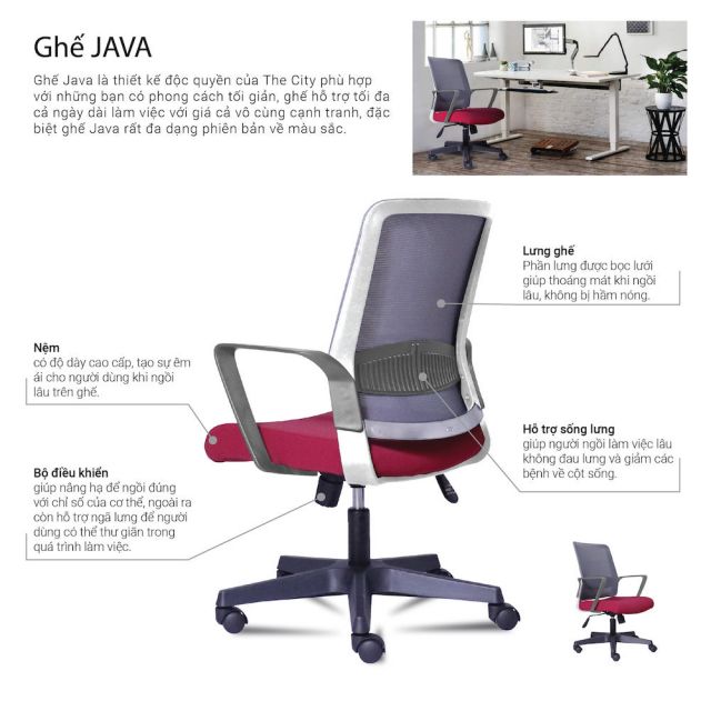 Ghế văn phòng chân xoay lưng lưới nệm nhiều màu Java DX02 HOGVP146