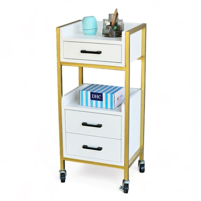 Tủ dụng cụ di động Beauty Salon 40x30x83cm gỗ cao su TDSL003 Tủ dụng cụ di động Beauty Salon 40x30x83cm gỗ cao su TDSL003