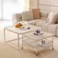 Bàn sofa đôi mặt kính chân sắt TT68303