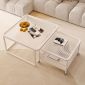 Bàn sofa đôi mặt kính chân sắt TT68303