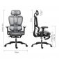 Ghế lưới văn phòng có tựa đầu Ergonomic màu xám HOGVP165