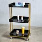 Xe đẩy dụng cụ Beauty Salon 35x46,8x82,5cm gỗ cao su KTB140