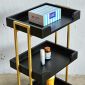 Xe đẩy dụng cụ Beauty Salon 35x46,8x82,5cm gỗ cao su KTB140