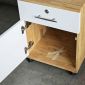 Tủ cá nhân 2 ngăn cửa trắng -  40x50x50 (cm) TCN68013