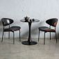 Combo bàn cafe Tulip và 2 ghế Elara CBCF315