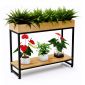 Kệ để cây trang trí 80x30x60cm gỗ cao su KTT68035