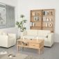 Bàn sofa chữ nhật có ngăn kéo 100x50cm gỗ tần bì TT68261