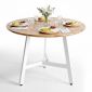 Bàn ăn tròn 100x100cm gỗ tràm chân sắt BA68306