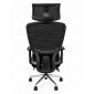 Ghế xoay lưng lưới ngả lưng chuẩn Ergonomic MF2015A