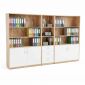 Tủ đựng hồ sơ văn phòng 270x35x170cm gỗ cao su THS68008