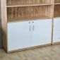 Tủ đựng hồ sơ văn phòng 270x35x170cm gỗ cao su THS68008