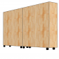 Modul Tủ Cho Trẻ Mầm Non Gỗ Tự Nhiên TK210