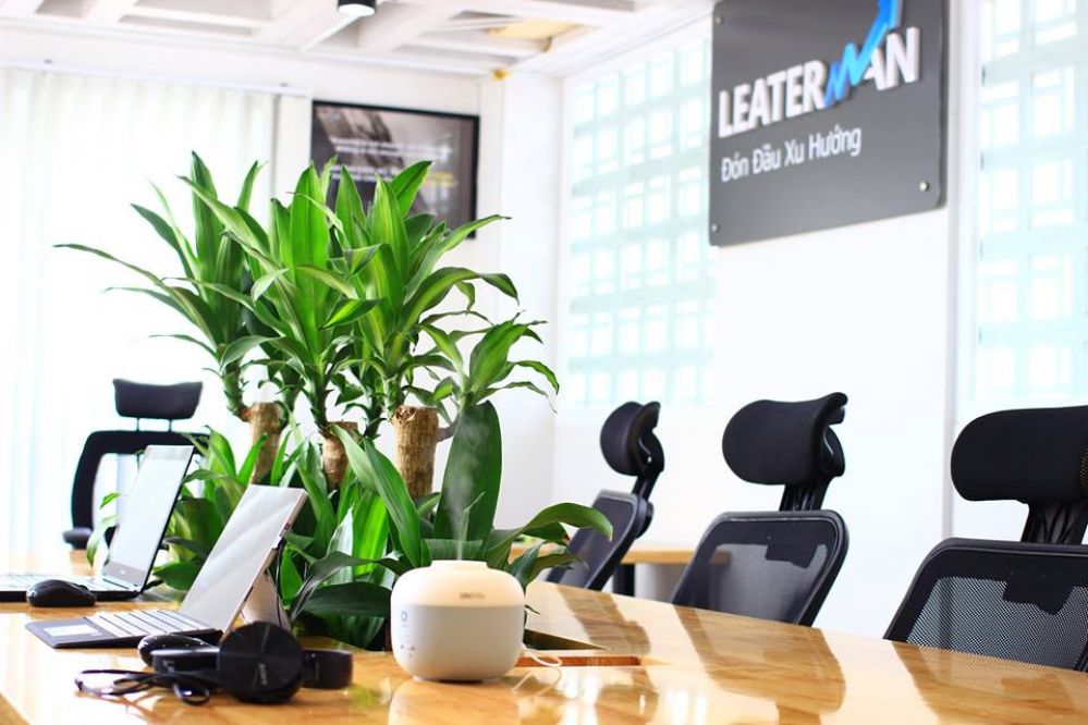 Thiết kế và thi công nội thất văn phòng